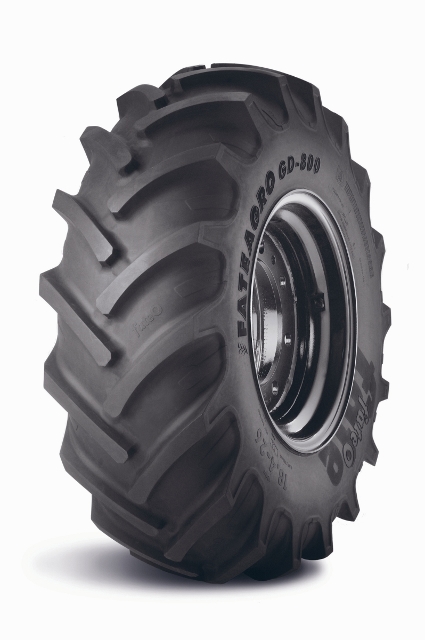 GD-800 Fate (425x640)