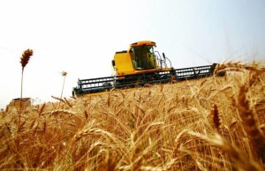 alto-paranaiba-triangulo-e-noroeste-sao-as-principais-regioes-produtoras