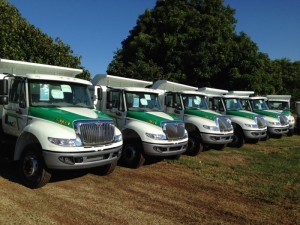 arq_242_141431 (700x525)